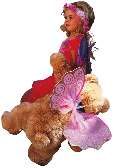 Teddy Bears’ Picnic in Fairyland